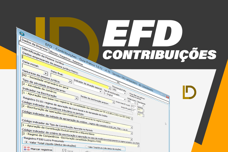 alt="Manual-EFD-contribuicoes"